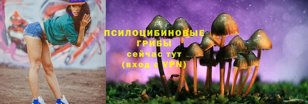 дурь Каменногорск