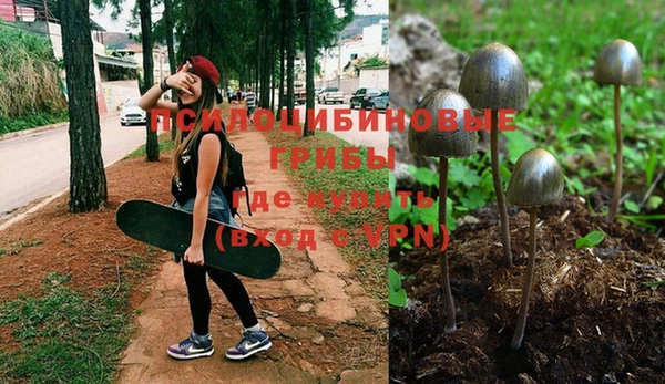 дурь Каменногорск