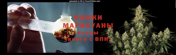 дурь Каменногорск