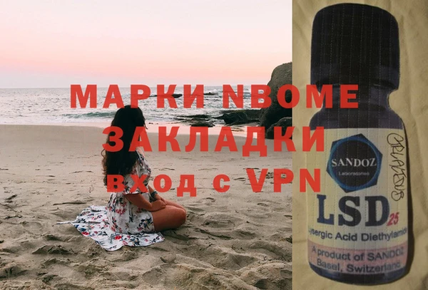 PSILOCYBIN Каменка