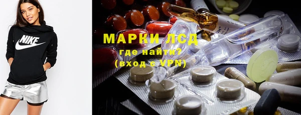 PSILOCYBIN Каменка