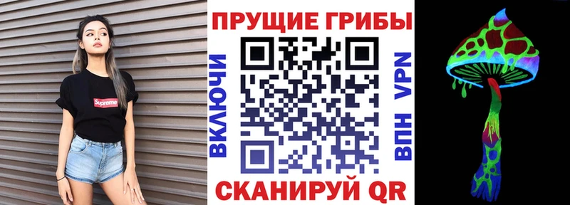 дарнет шоп  Клинцы  Галлюциногенные грибы Psilocybe 